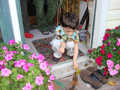 Nature Boy—With his father and grandmother keeping a watchful eye, 4-year-old Jacob learns a few lessons about nature.